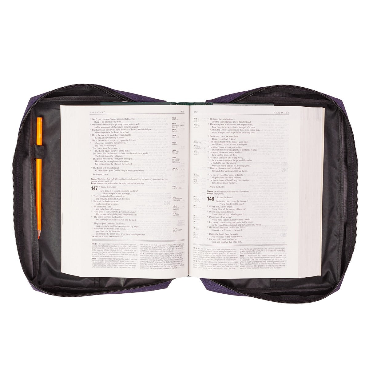 Bible Cover Value Purple Ichthus Patch
