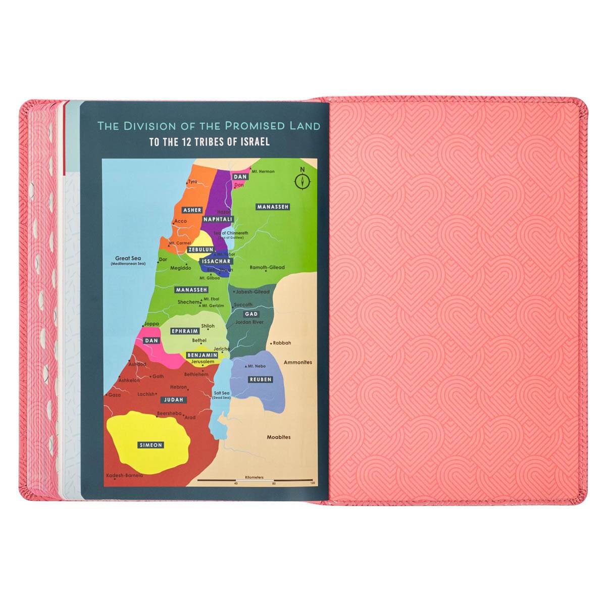 KJV Bible Kid Edition Faux Leather, Light Pink